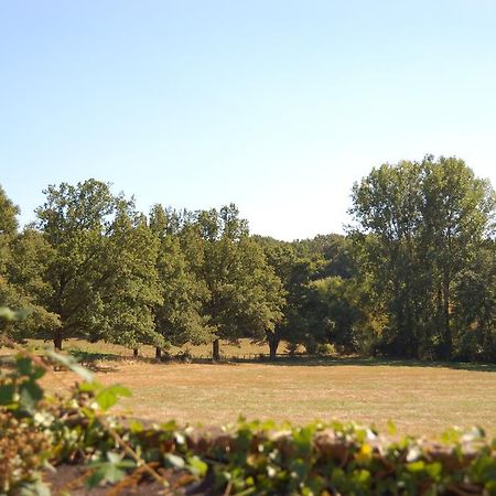 Gite Du Vieux Charme Villa Saint-Amand-en-Puisaye Kültér fotó