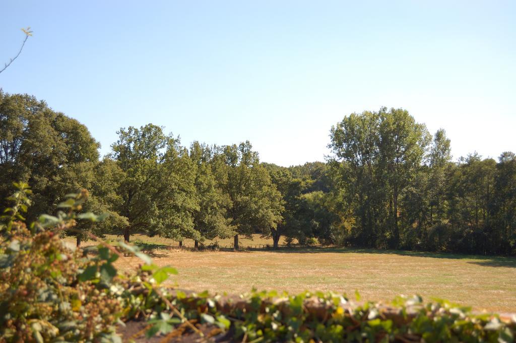 Gite Du Vieux Charme Villa Saint-Amand-en-Puisaye Kültér fotó